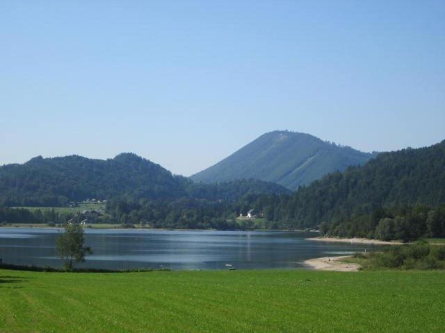 Appartement Bergblick I Faistenau Cameră foto